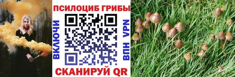 Псилоцибиновые грибы прущие грибы  закладки  Нытва 